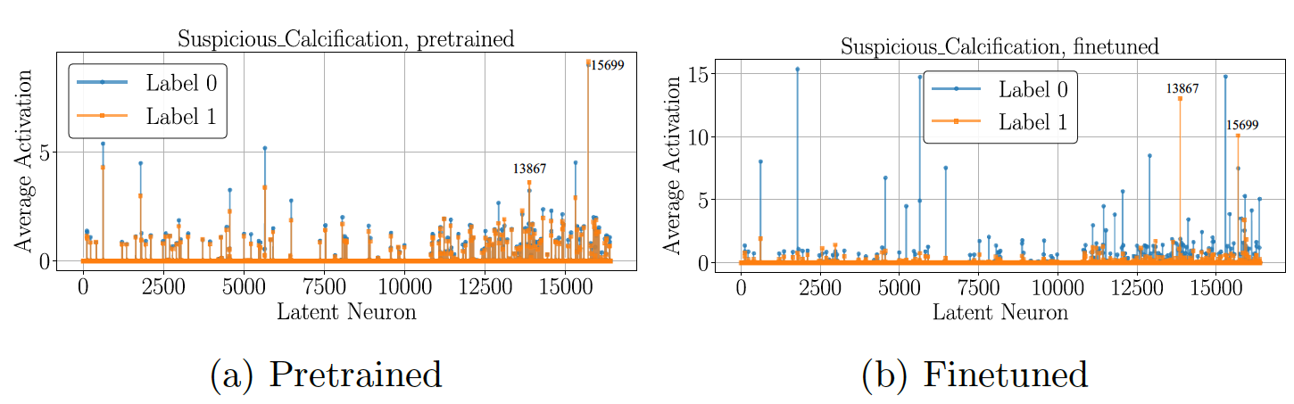 Latent neuron separation between pretrained and fine-tuned models